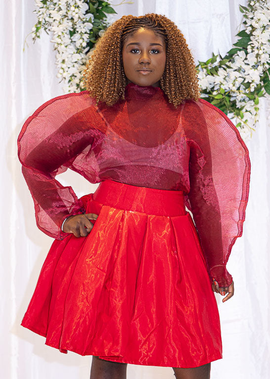 Chiffon Sculptured Sheer Statement Top